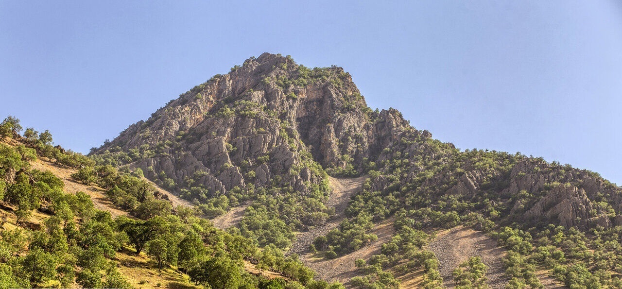 شناسایی ۲۹ ذخیره‌گاه در ۴۳ هزار هکتار جنگل فارس