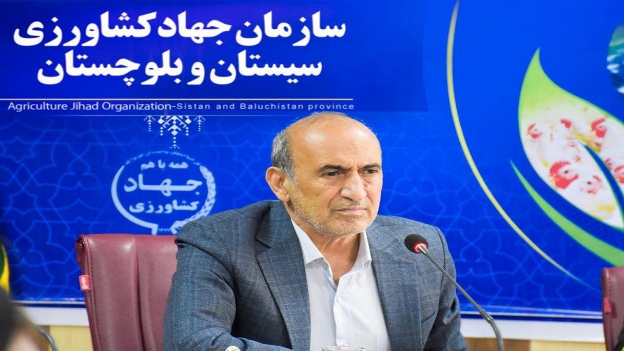 تولید افزون بر ۲۳ هزار و ۹۲۴ تن گوشت مرغ در سیستان و بلوچستان
