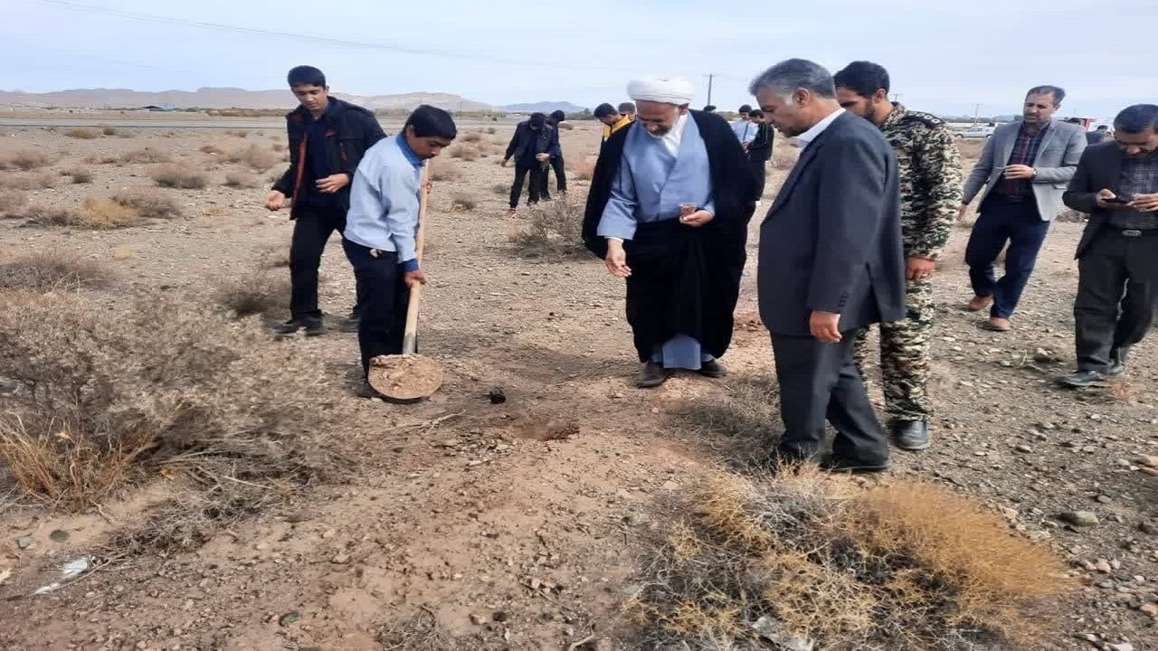 پویش ملی کاشت بذر بادام کوهی در سیرجان