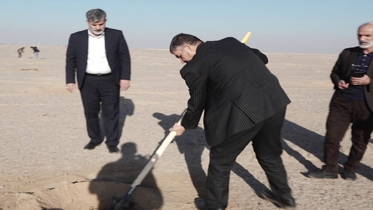 طرح مردمی کاشت درخت در قم آغاز شد