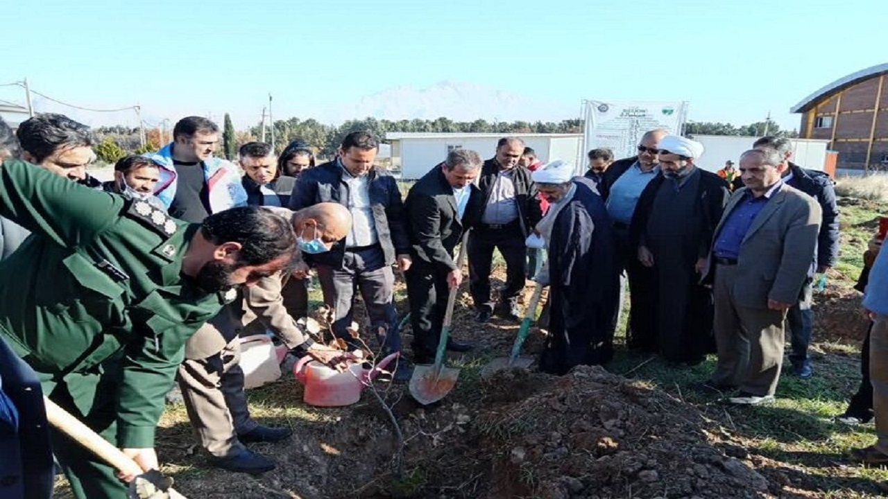 آغاز طرح مردمی کاشت یک میلیارد درخت در کشور/سهم ۳۶ میلیونی استان کرمانشاه از کاشت درختان