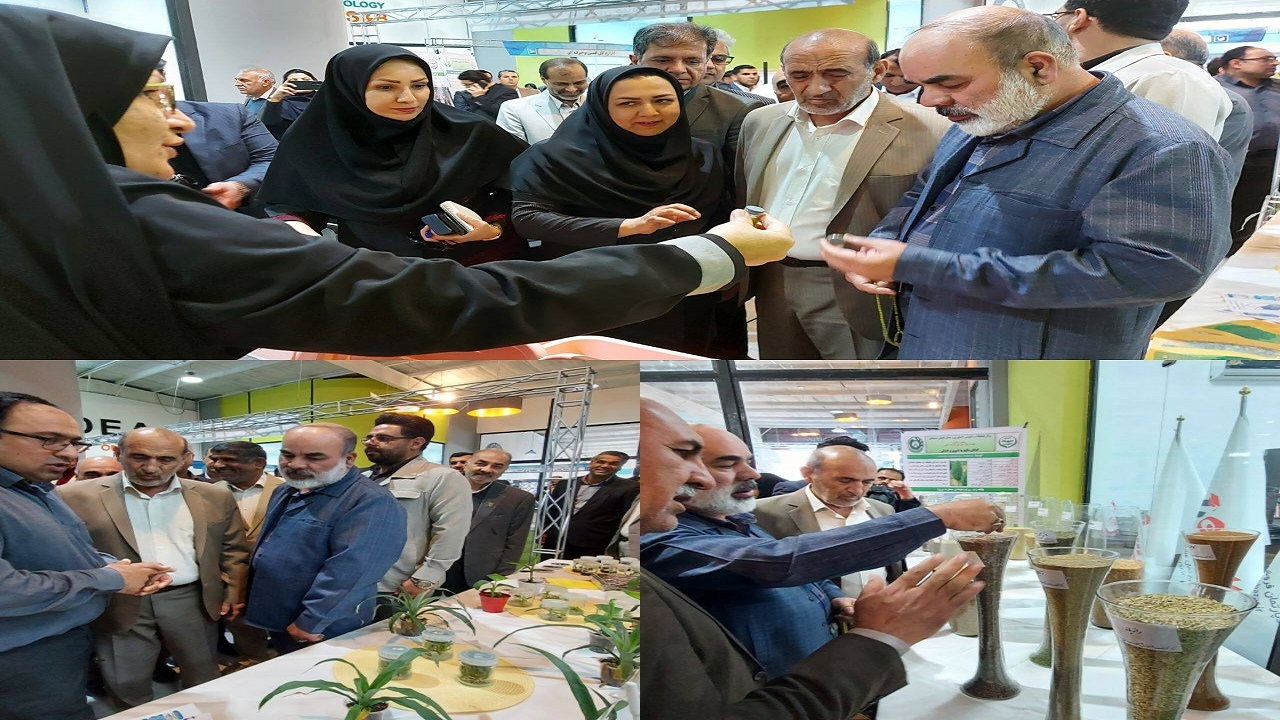 چهار مرکز تحقیقاتی درسیستان و بلوچستان همیار بخش کشاورزی هستند