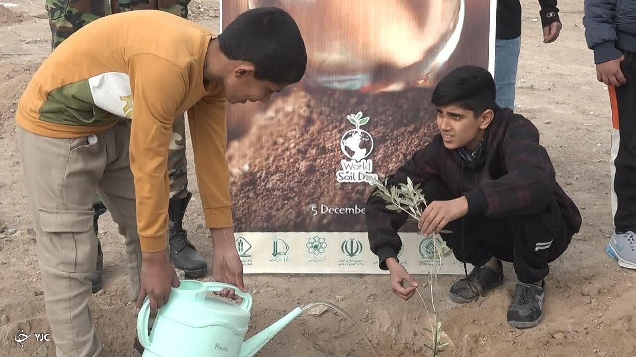 کاشت ۱۰۰ اصله نهال زیتون به یاد شهدای غزه در تایباد