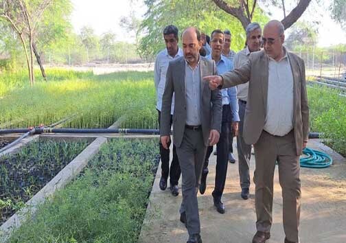 &nbsp;آغاز کاشت سه میلیون نهال حرا در سواحل هرمزگان