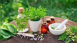 گیاهان دارویی تحت پوشش بیمه می‌روند