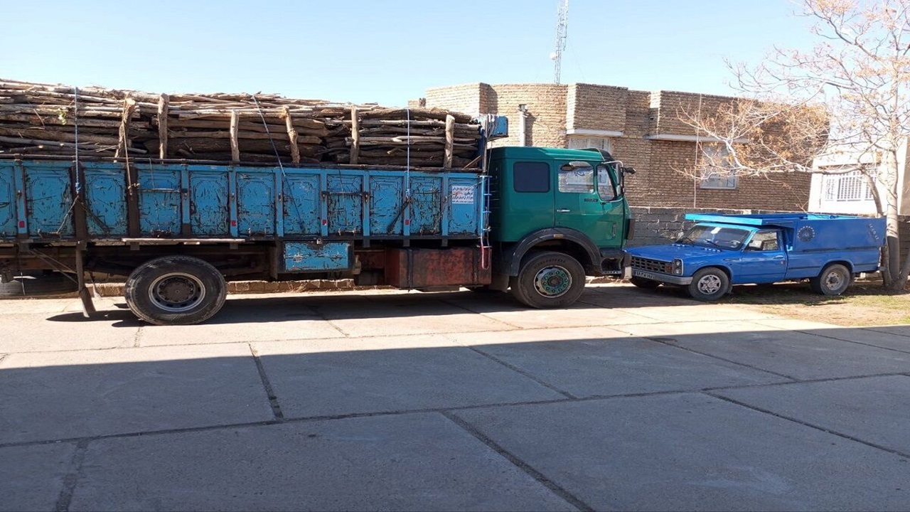 کشف ۱۲ تن چوب قاچاق در بوکان