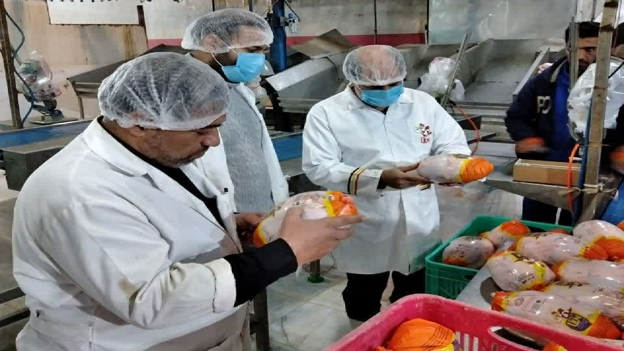 نظارت بهداشتی بر کشتارگاه های طیور شهرستان آبیک