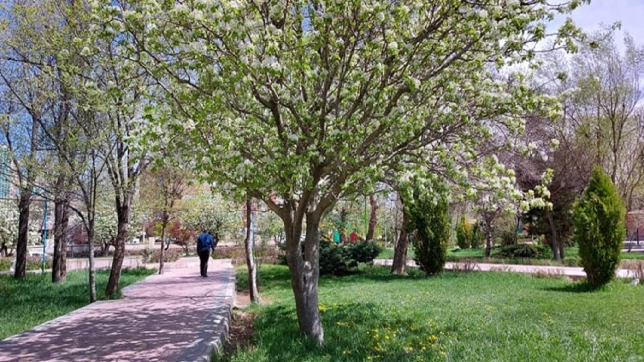تداوم جو آرام تا روز سه‌شنبه در استان اردبیل
