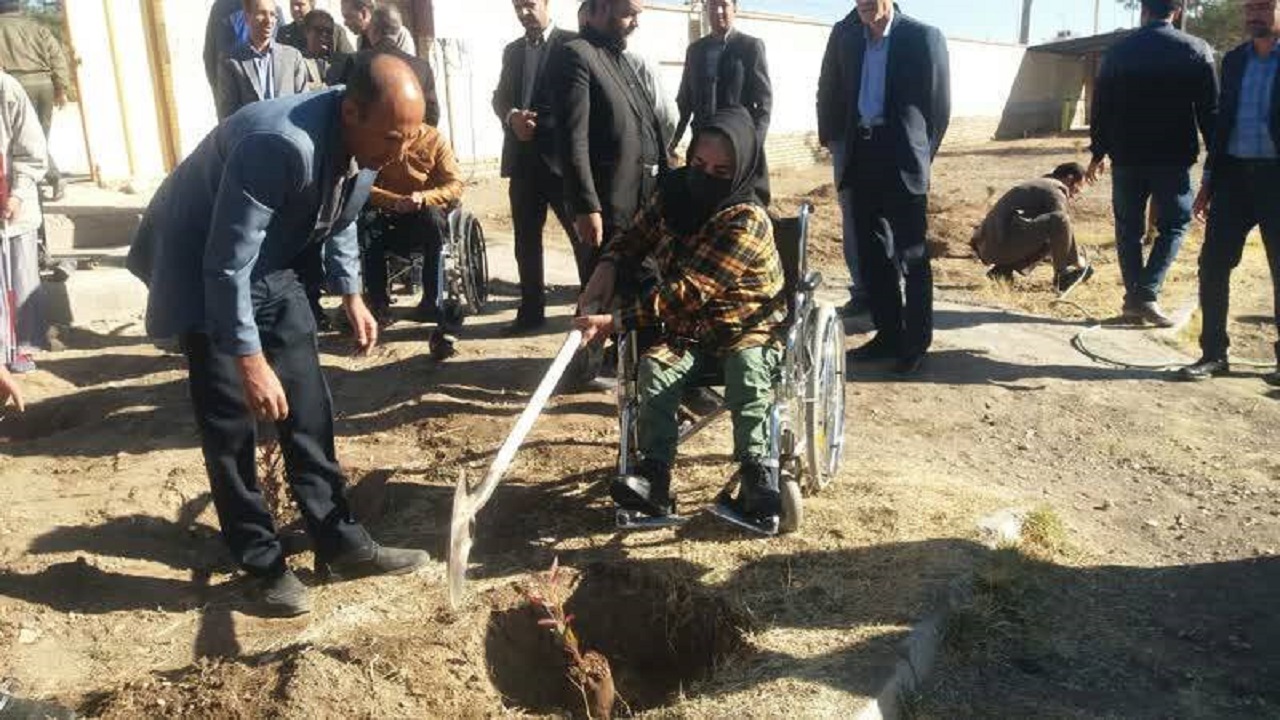 کاشت ۱۰۰ نهال به نام نخبگان معلول در بافت