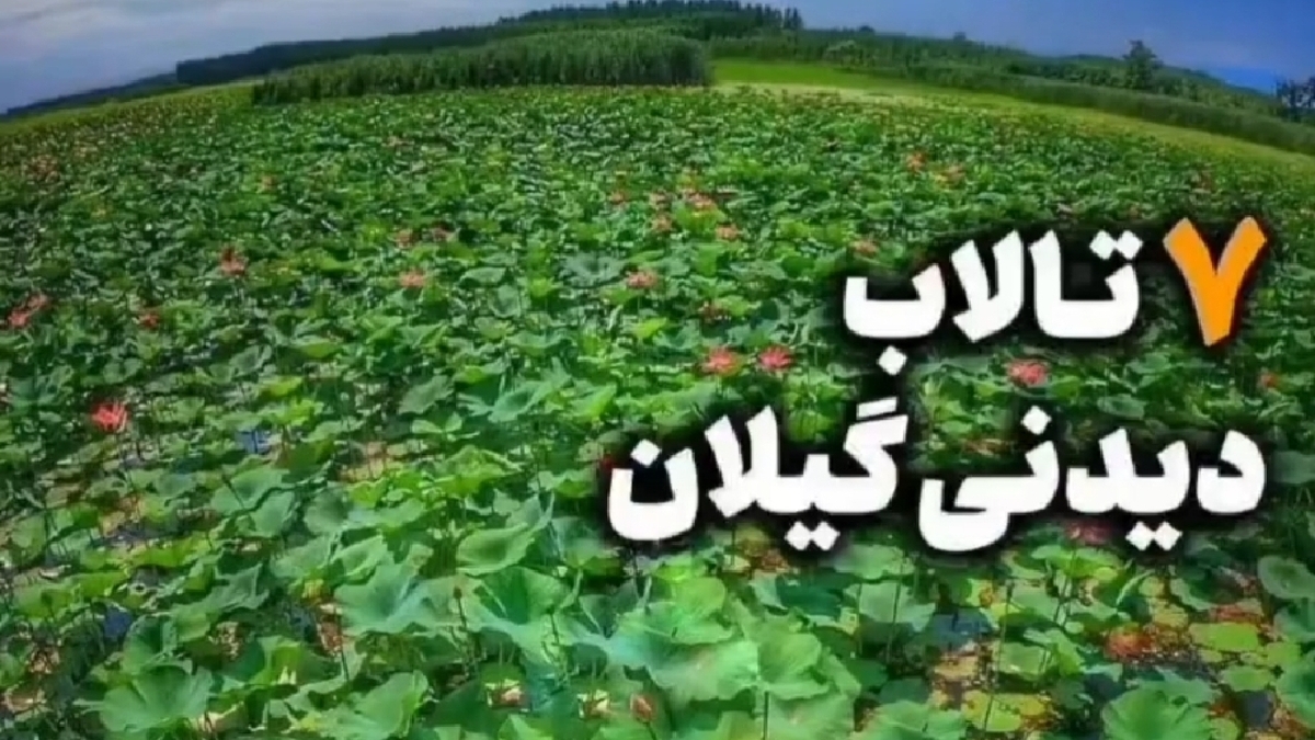اذان پیرمرد پاکبان در میدان ولیعصر + فیلم