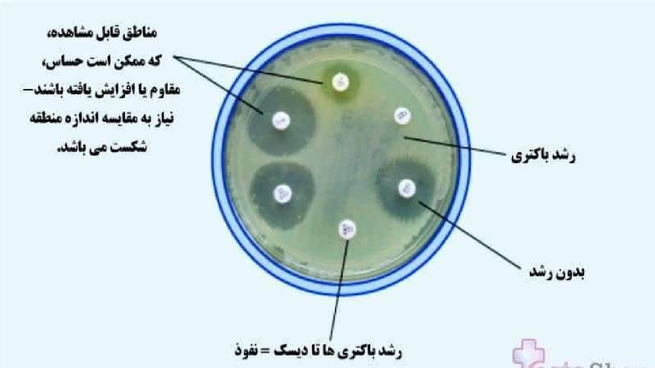 آزمایش آنتی بیوگرام جایگزین داروهای آنتی بیوتیک در خوراک دام