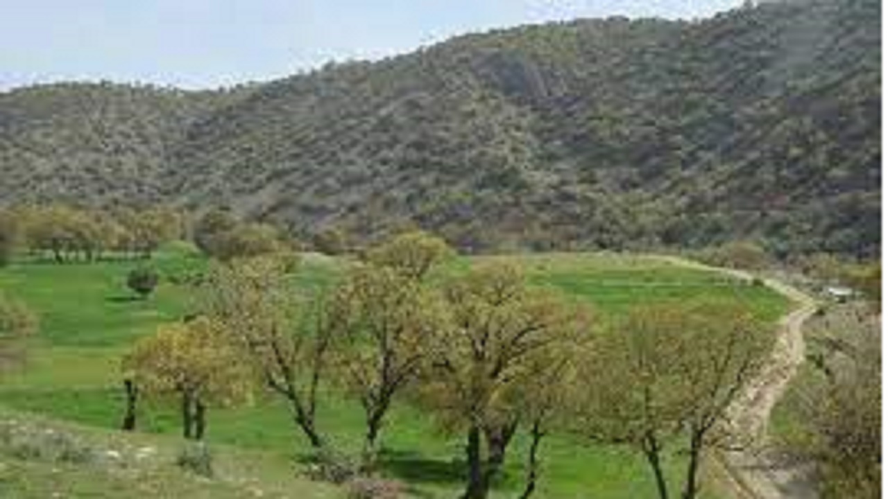 ممنوع شدن واگذاری زمین در اراضی شمالی یاسوج به افراد دولتی و خصوصی