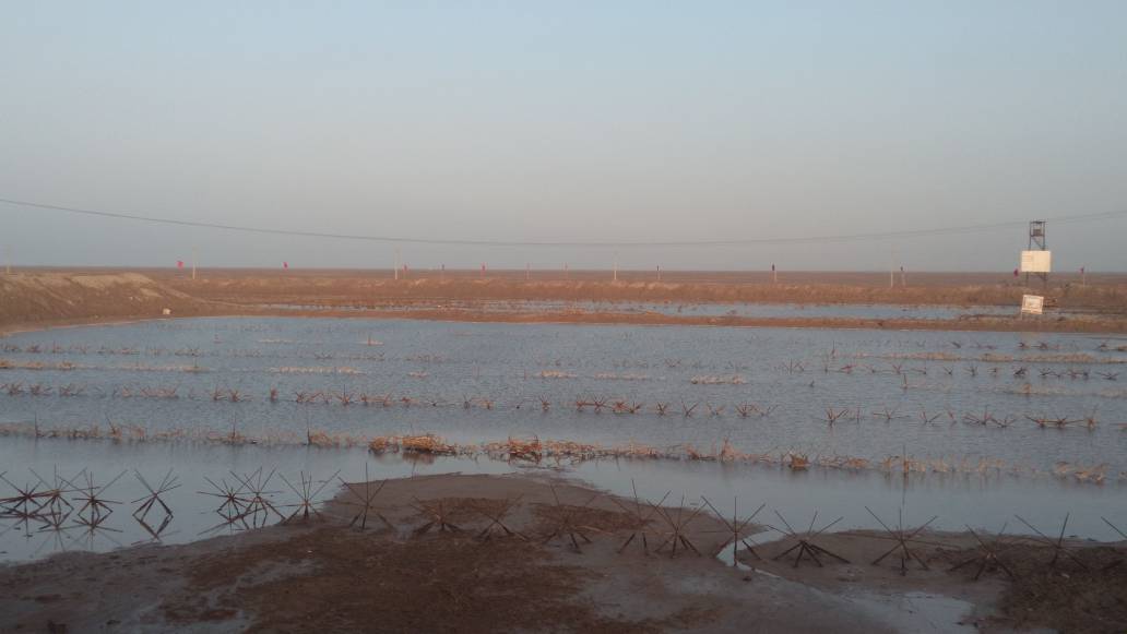 مناطق جنگی