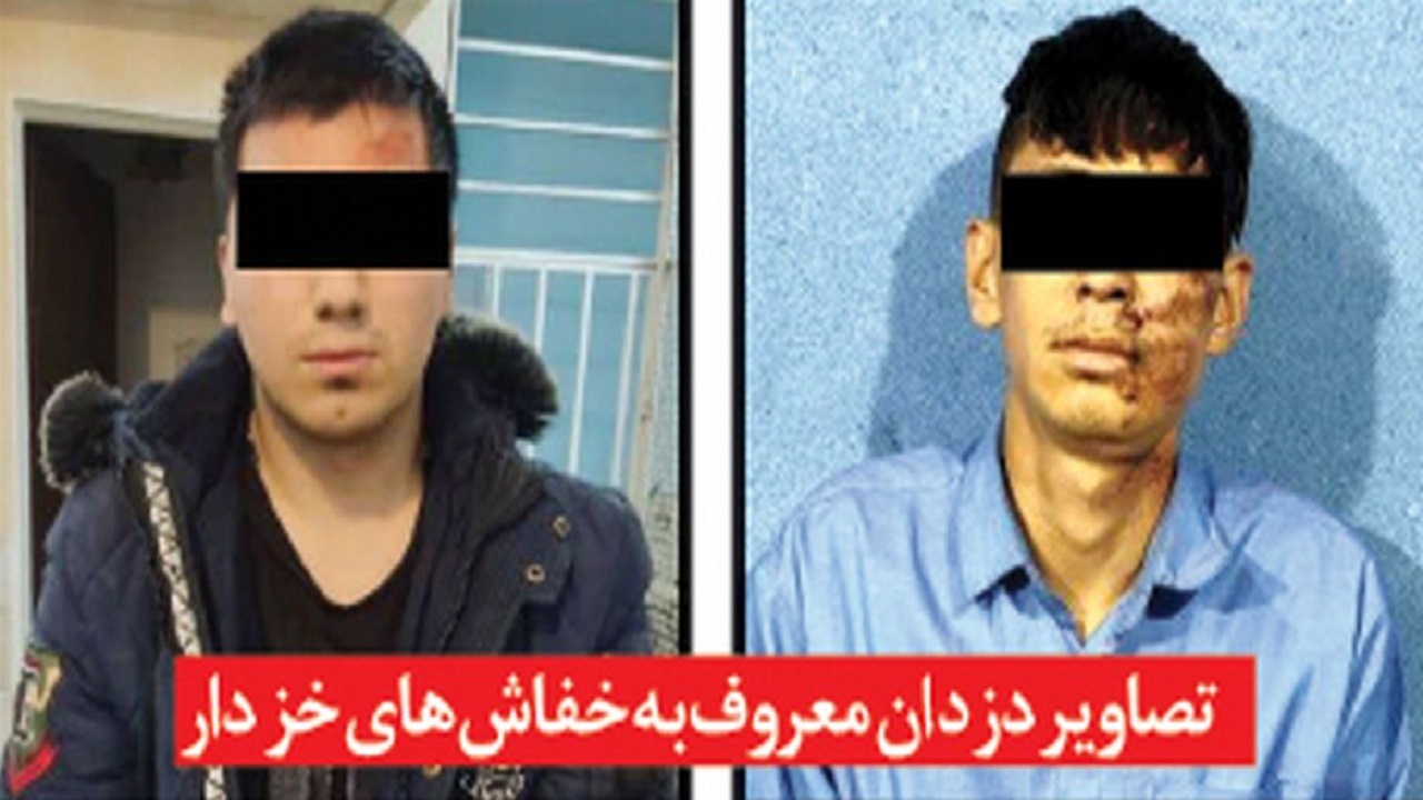 خفاش‌های خزدار مشهد به دام پلیس افتادند