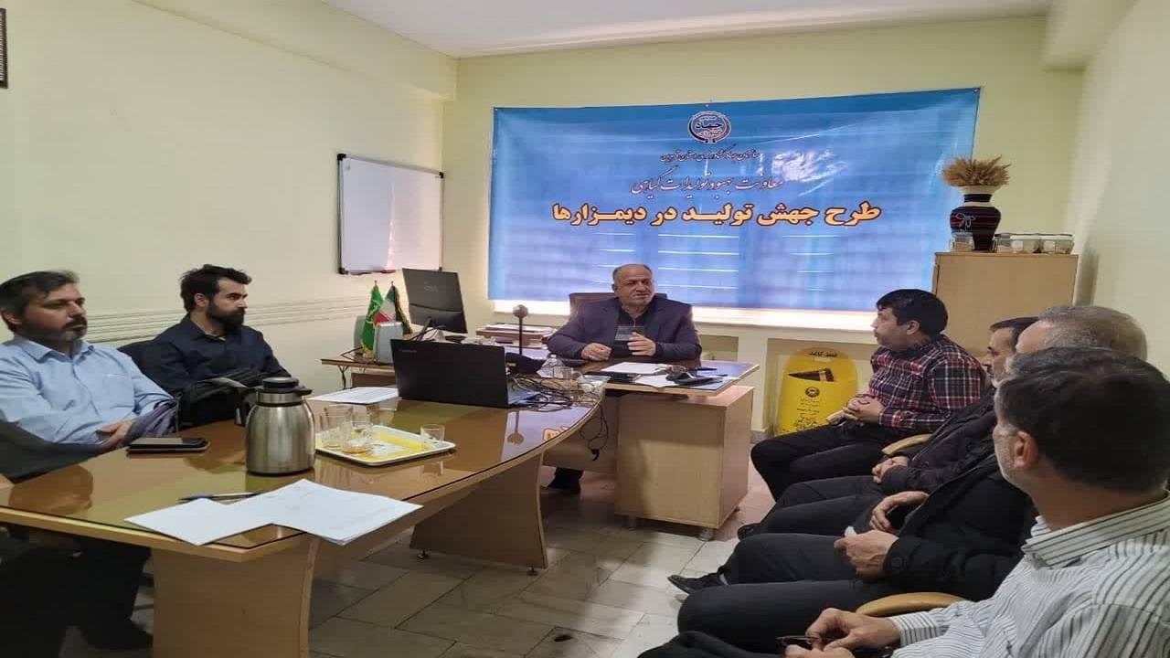  تحقق ۶۳ درصدی کشت محصولات زراعی در دیمزار‌های استان قزوین