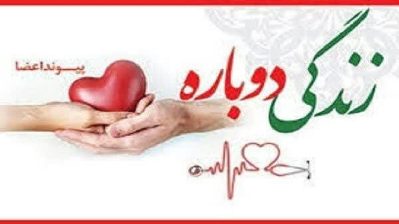 اهدای عضو اهدای زندگی