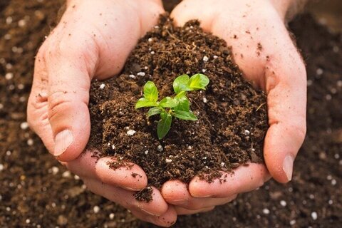 افتتاح طرح احیای خاک‌های آلوده و ایجاد مزرعه زیستی در اهواز