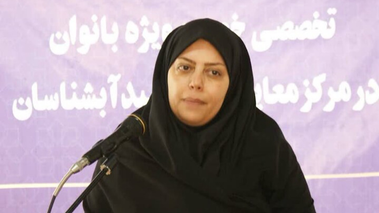 آغاز فعالیت واحدهای کنترل کنار جاده ای وسایل نقلیه از امروز