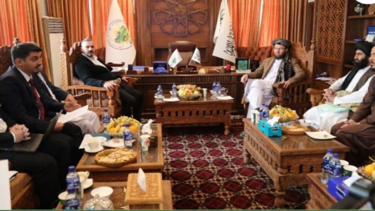 افغانستان خواستار سرمایه‌گذاری ترکیه در این کشور شد