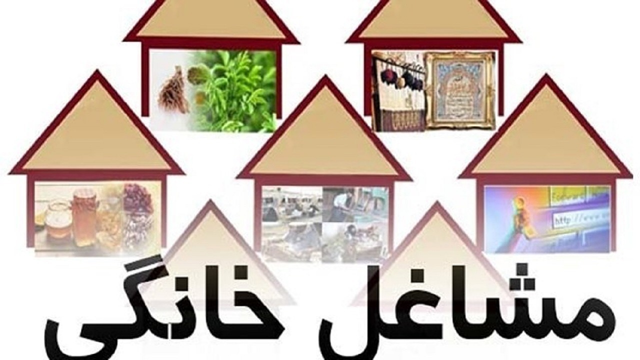 پرداخت ۴۵ درصد از تسهیلات مشاغل خانگی در استان قزوین