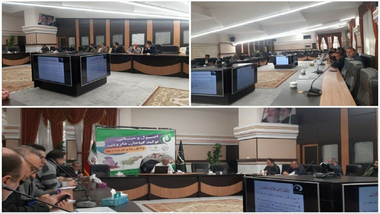 تولید۷۰۰ تن انواع گیاهان دارویی در مزارع استان قزوین 