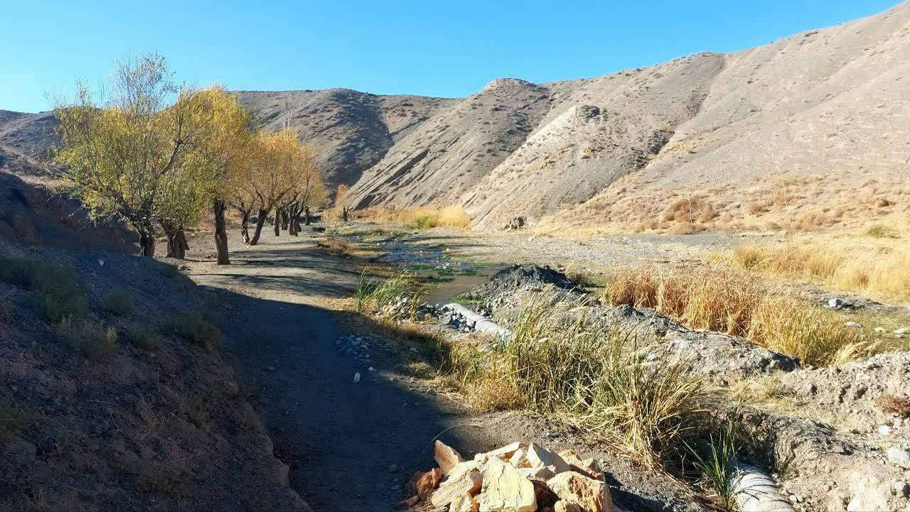 طبیعت تنگل دره فریمان