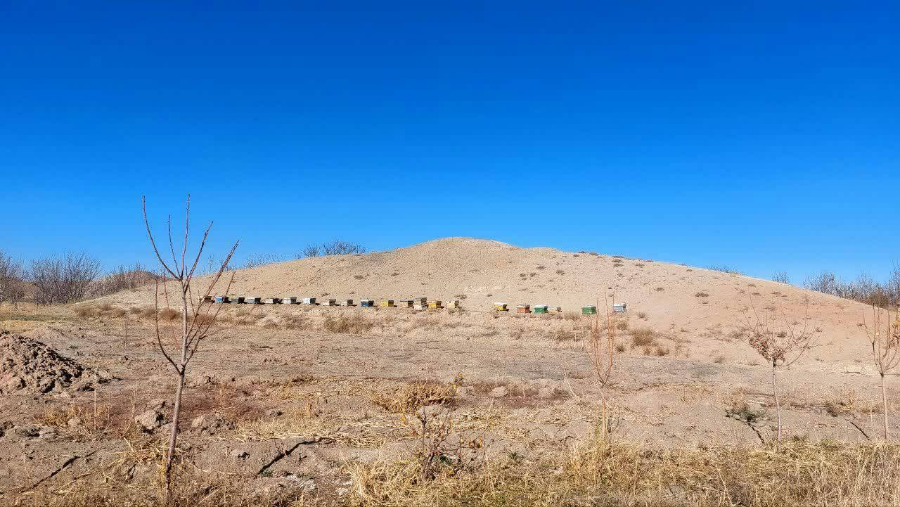 طبیعت پاییزی تنگل دره