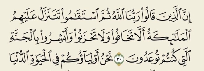 سوره فصلت، آیه ۳۰ سوره فصلت، آیه ۳۰