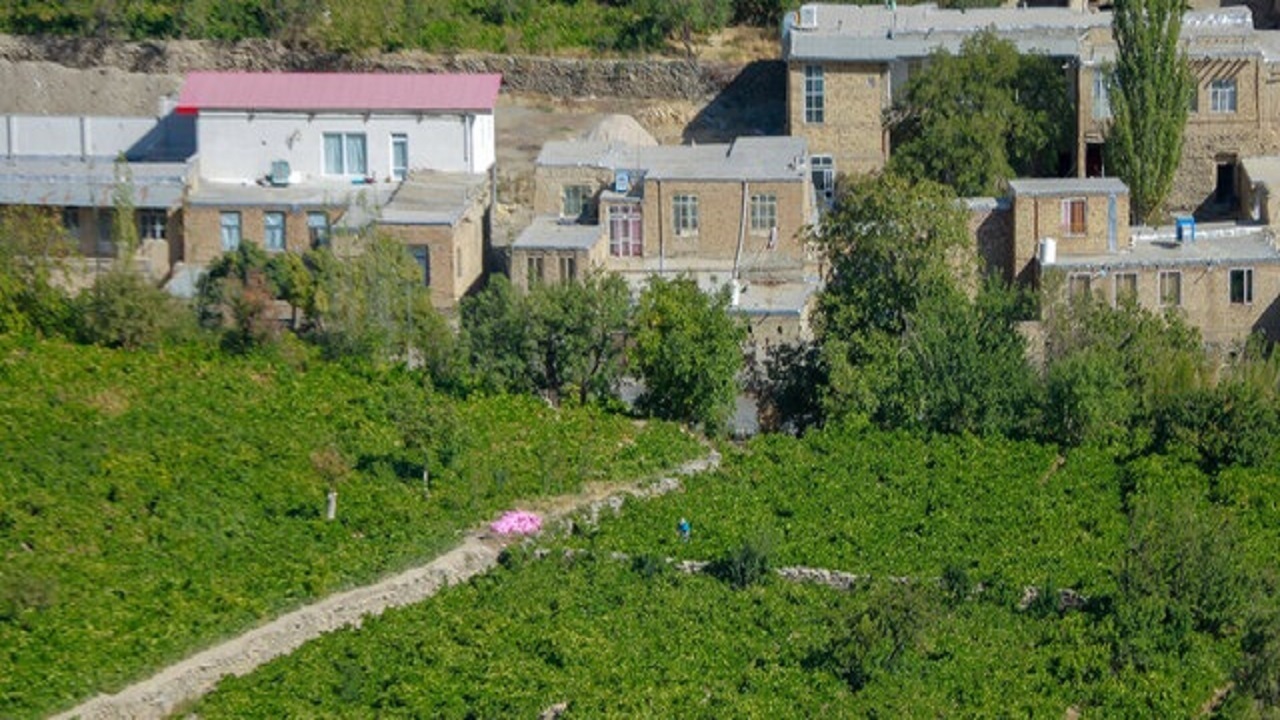 طرح توسعه اقتصادی روستا‌های بالای ۲۰ خانوار سیستان و بلوچستان اجرایی می‌شود