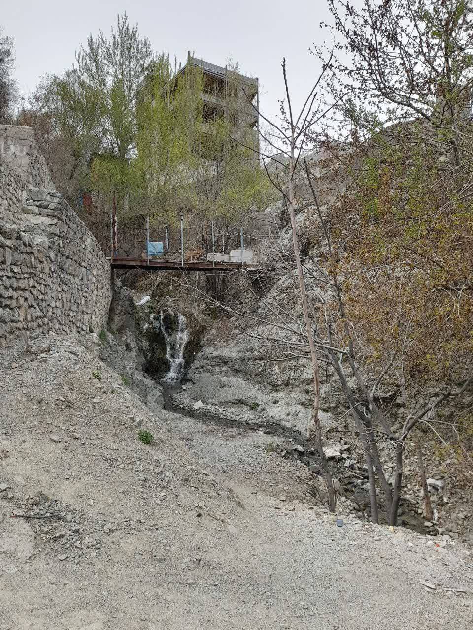 ساخت و ساز در طبیعت