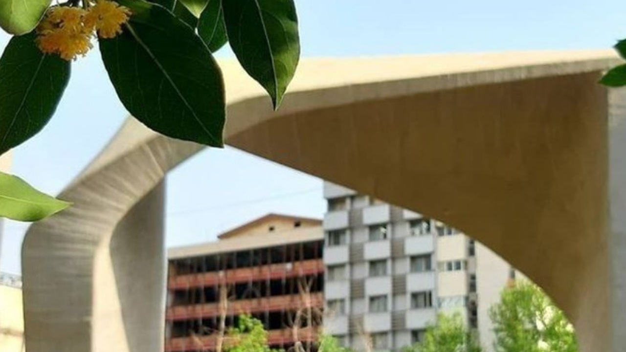 آمادگی تأمین‌اجتماعی برای پوشش بیمه‌ای دانشجویان