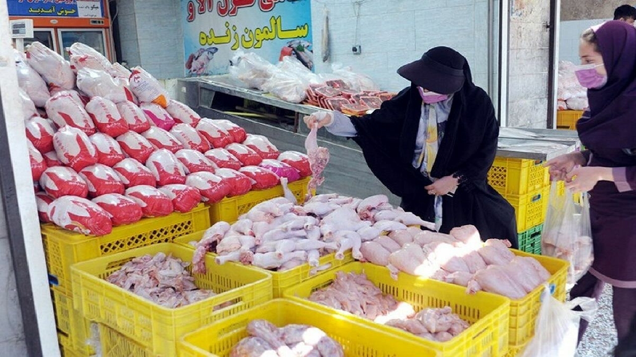 خرید و عرضه مرغ در قزوین فقط با سامانه ستکاوا انجام شود