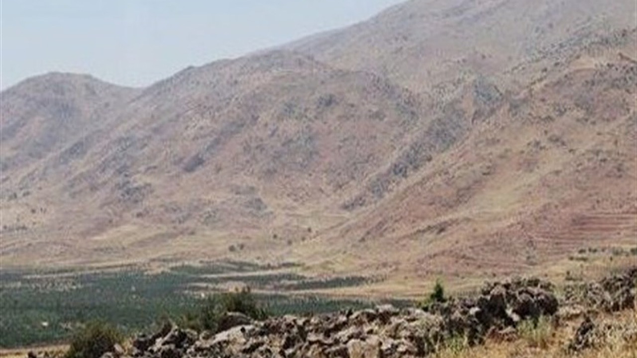 حمله پهپادی رژیم صهیونیستی به سوریه/ چهار نفر شهید شدند