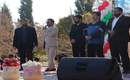 برگزاری همایش پیاده روی خانوادگی در مهردشت&nbsp;