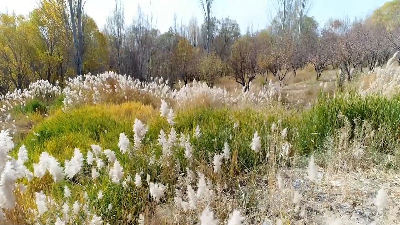 تصاویری  از طبیعت پاییزی شهرستان سمیرم