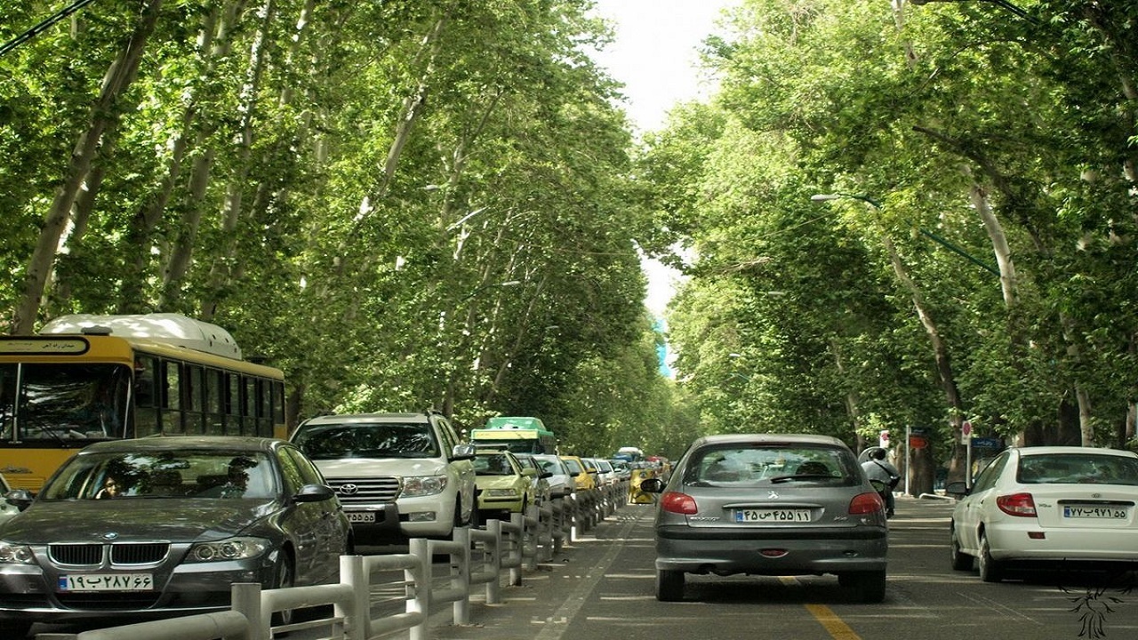  اسکن درختان خیابان ولیعصر برای پایش سلامتی آن‌ها