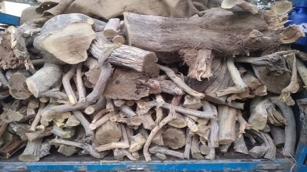توقیف خودروی حامل چوب قاچاق از گونه تاغ