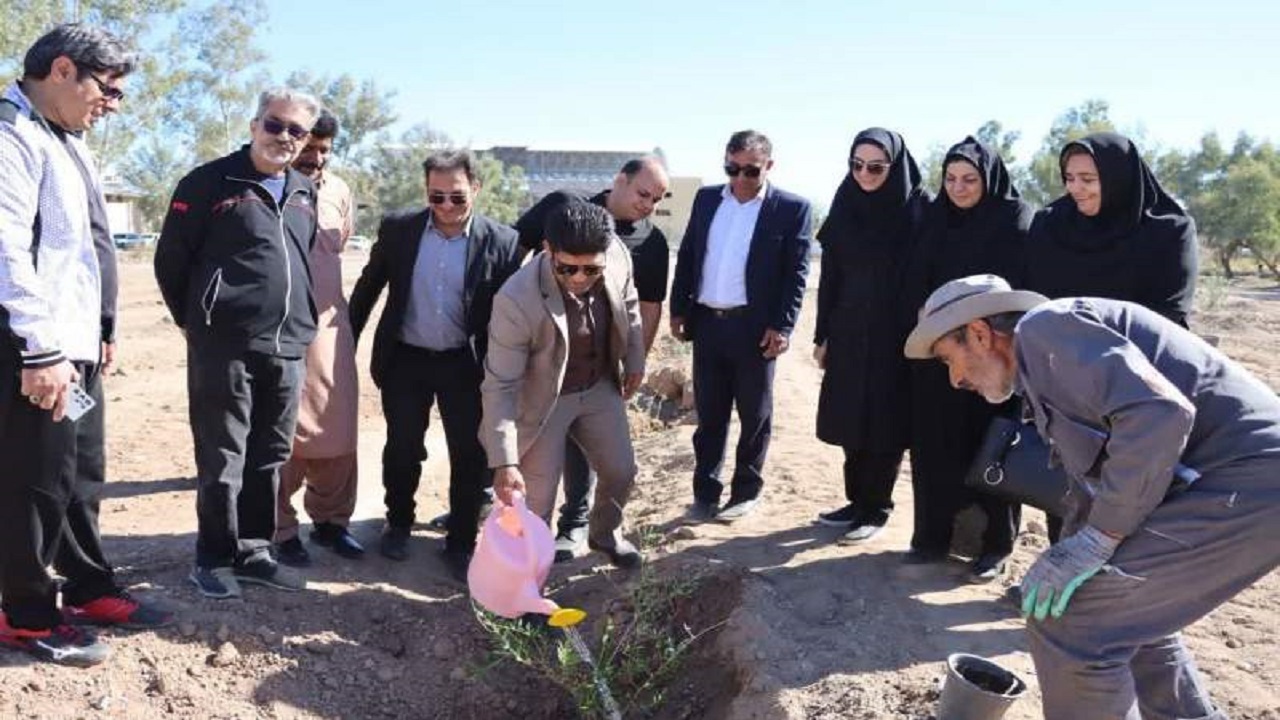 ۱۰۰ نهال زیتون به یاد شهدای غزه در بوستان غزه زاهدان غرس شد
