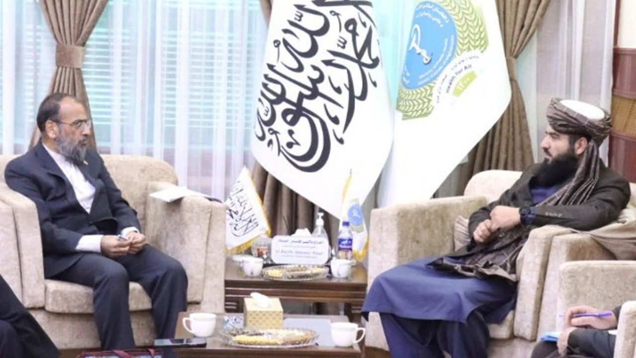 همکاری های مشترک محور گفتگوهای مرتضوی و عباد