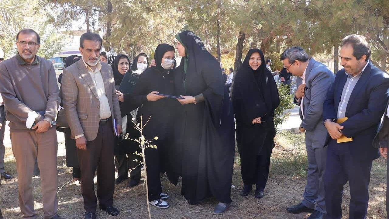 کاشت ۱۰۰ اصله درخت به نام نخبگان دارای معلولیت در کرمان