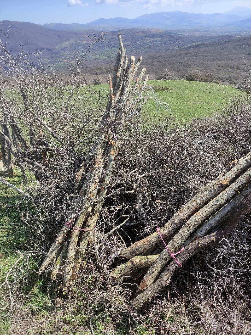 نابودی طبیعت