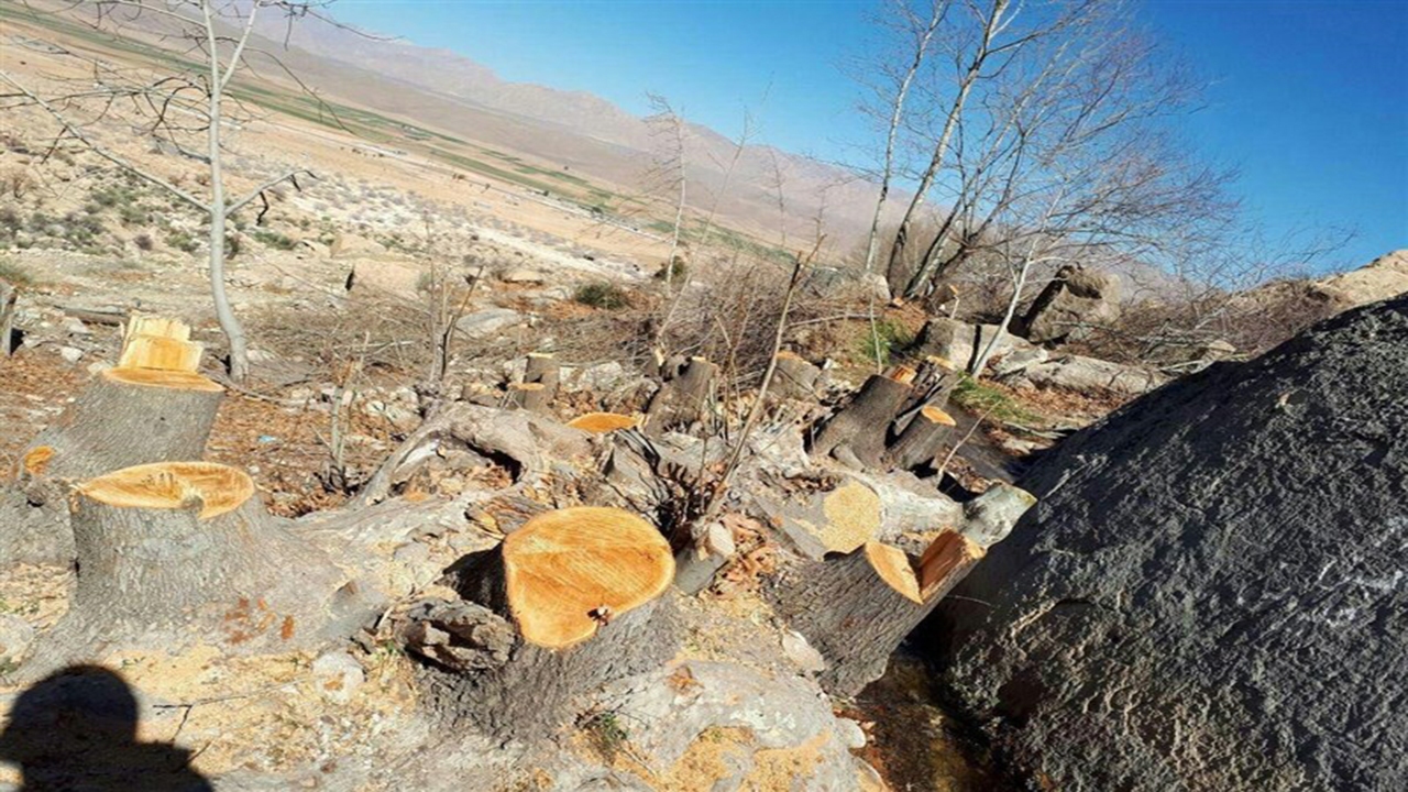مستحدثات متخلفان انتقال غیرقانونی آب چشمه مرغک رونیز تخریب می‌شود