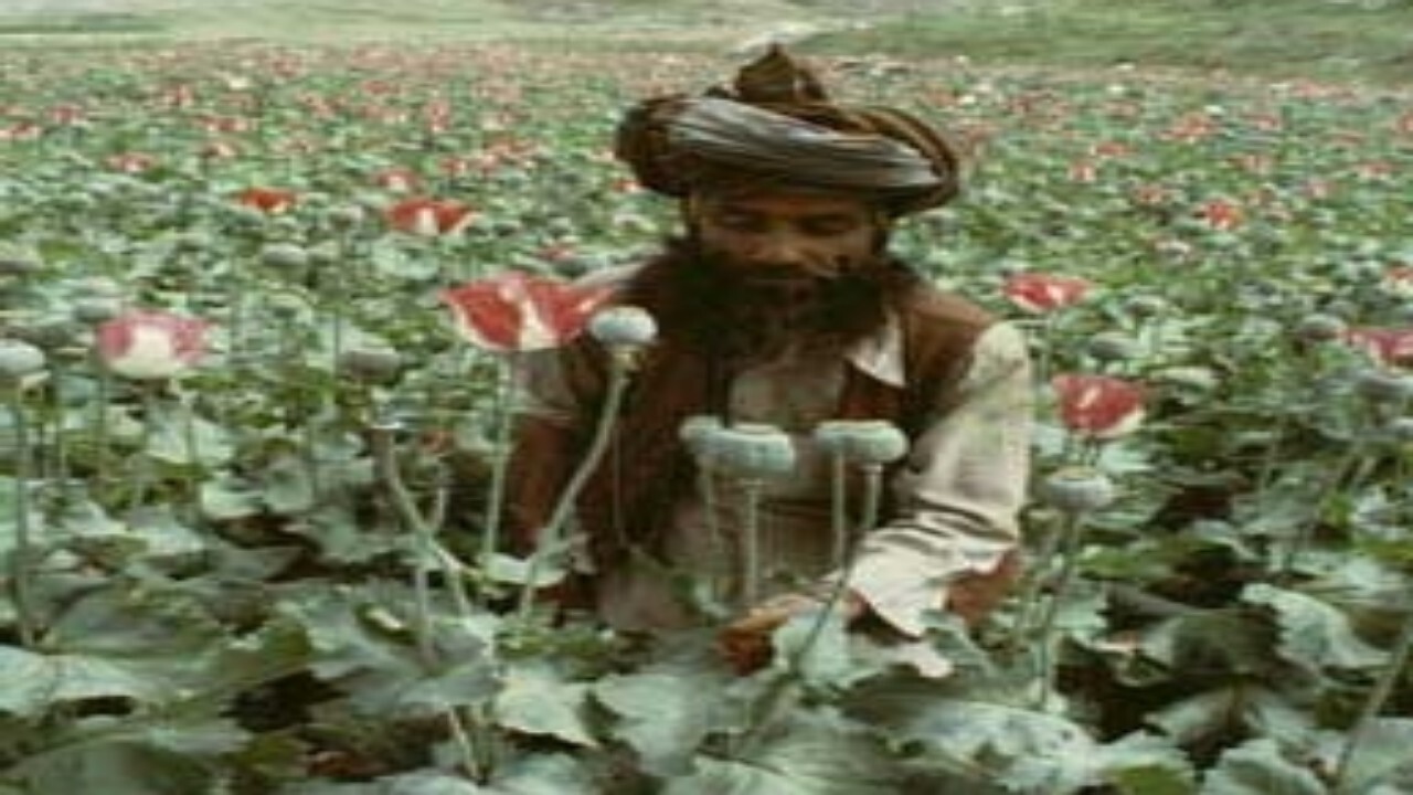 همکاری ایران در مبارزه با موادمخدر در افغانستان