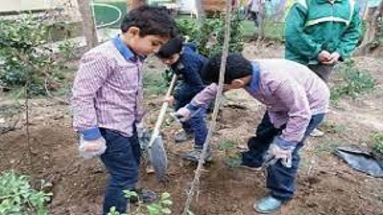 دانش‌آموزان دختر تبریزی به یاد زنان و کودکان غزه، نهال کاشتند