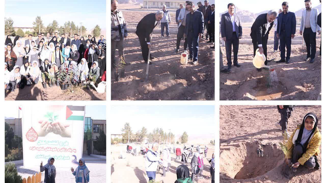 کاشت بیش از ۵ هزار اصله نهال به یاد کودکان و زنان شهید غزه در مدارس کرمان