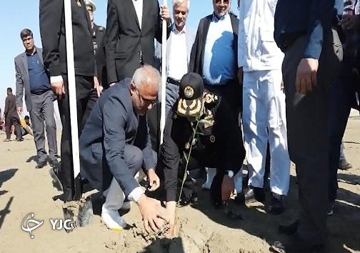 کاشت نهال در جاسک توسط فرمانده نیوی دریایی ارتش