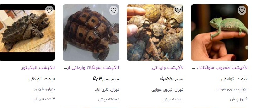 تصاویری از صفحه فروش خزندگان در فضای مجازی