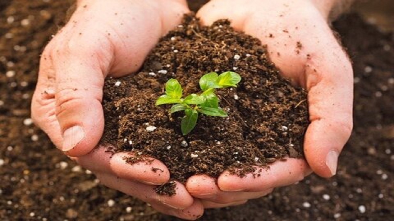 اطلس آلودگی خاک قم با بررسی ۴۰۰ نقطه استان تهیه می‌شود