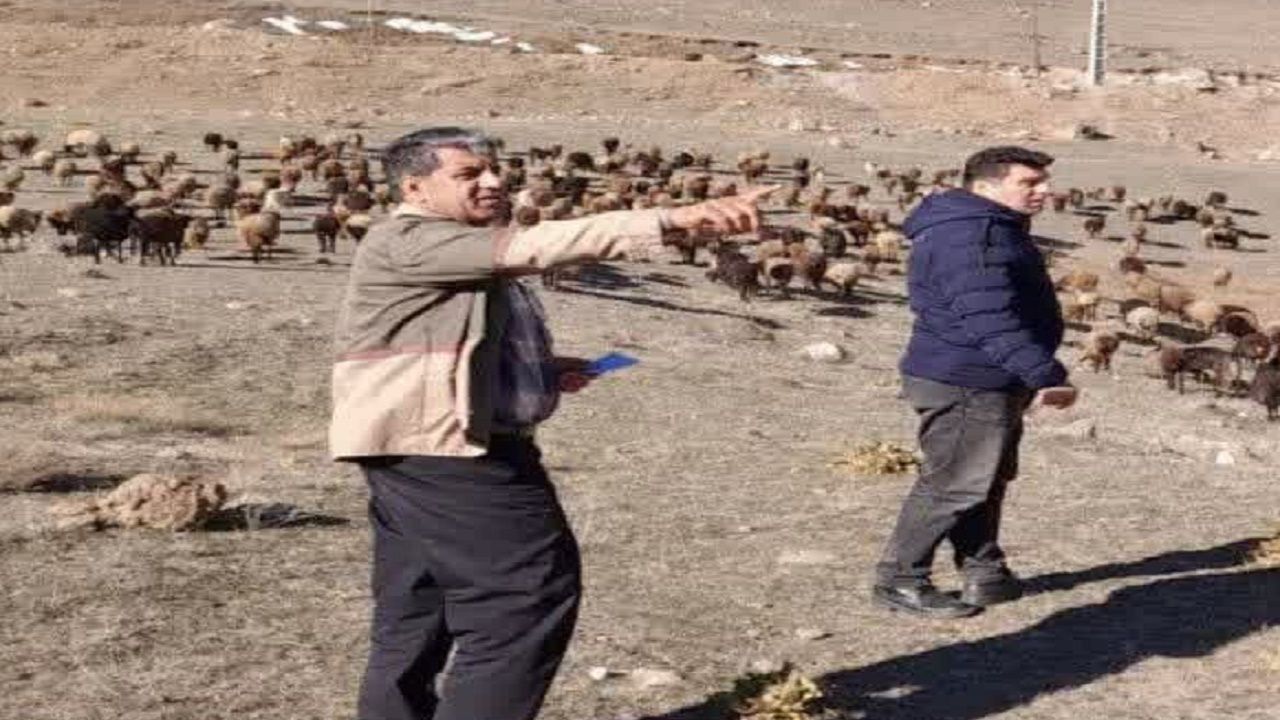 خروج دام غیرمجاز از مرتع لاریجان
