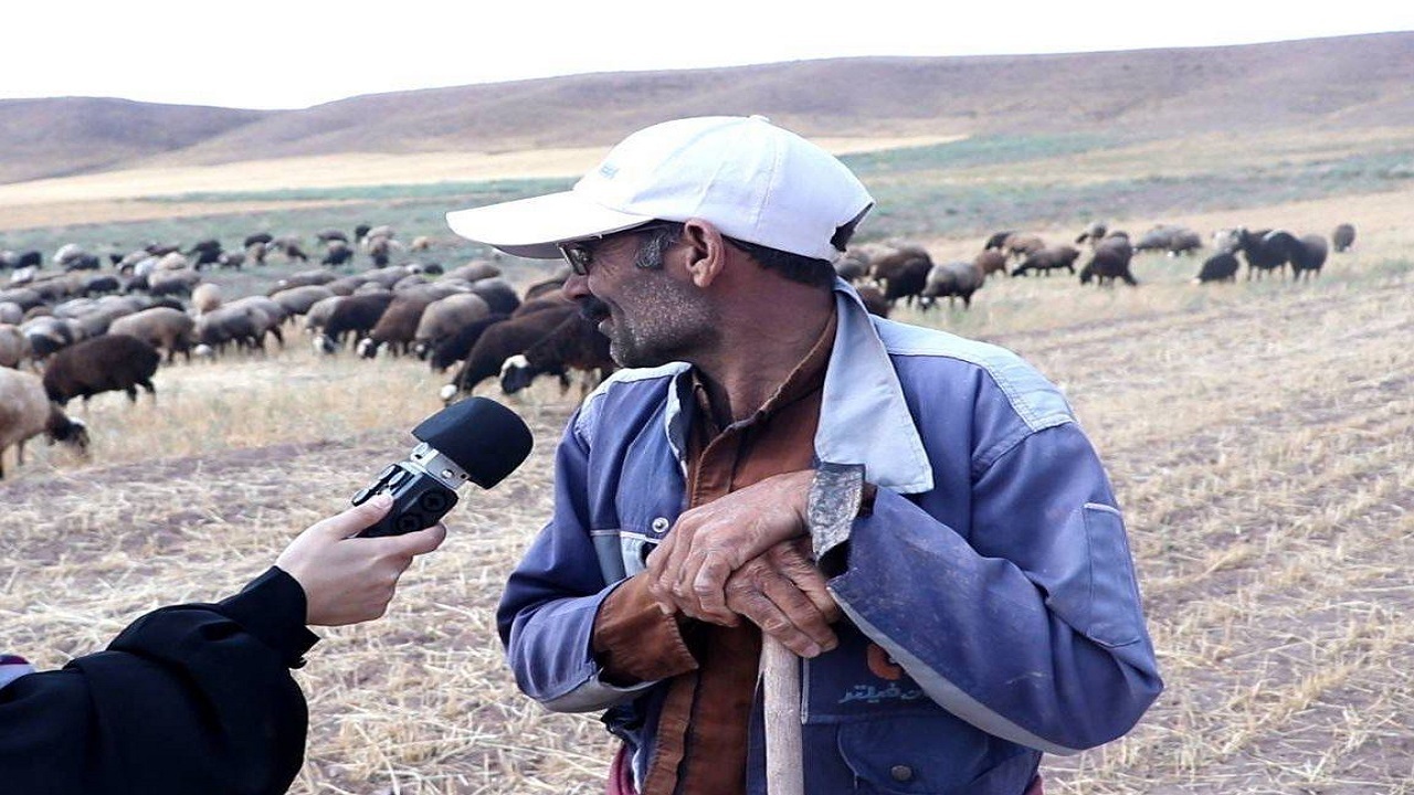 پخش مستند «دومینو» پس از ۱۵ ماه توقف